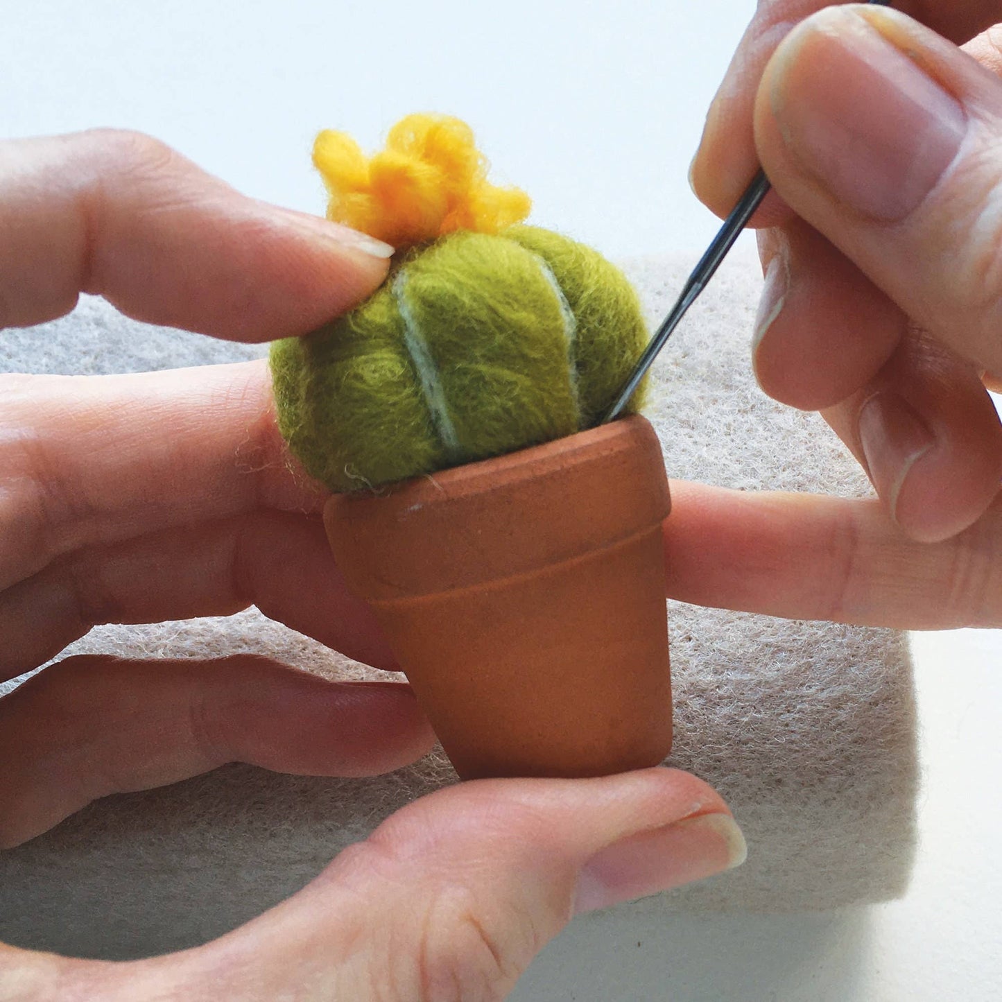 Cacti Needle Crafting Kit