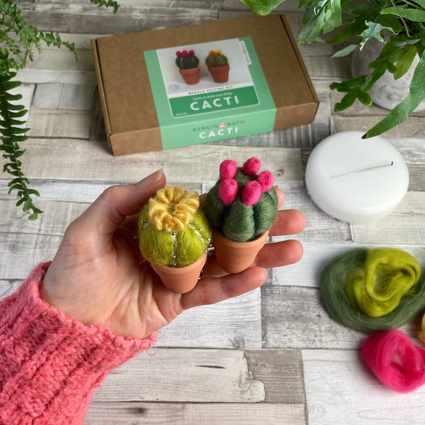 Cacti Needle Crafting Kit
