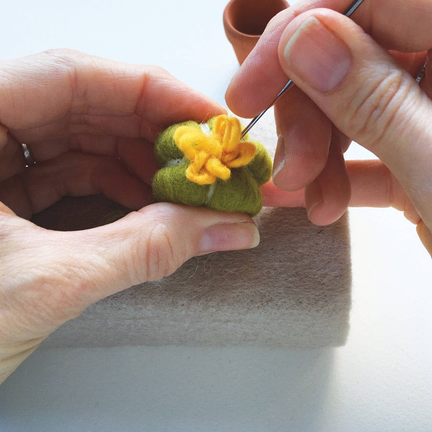 Cacti Needle Crafting Kit