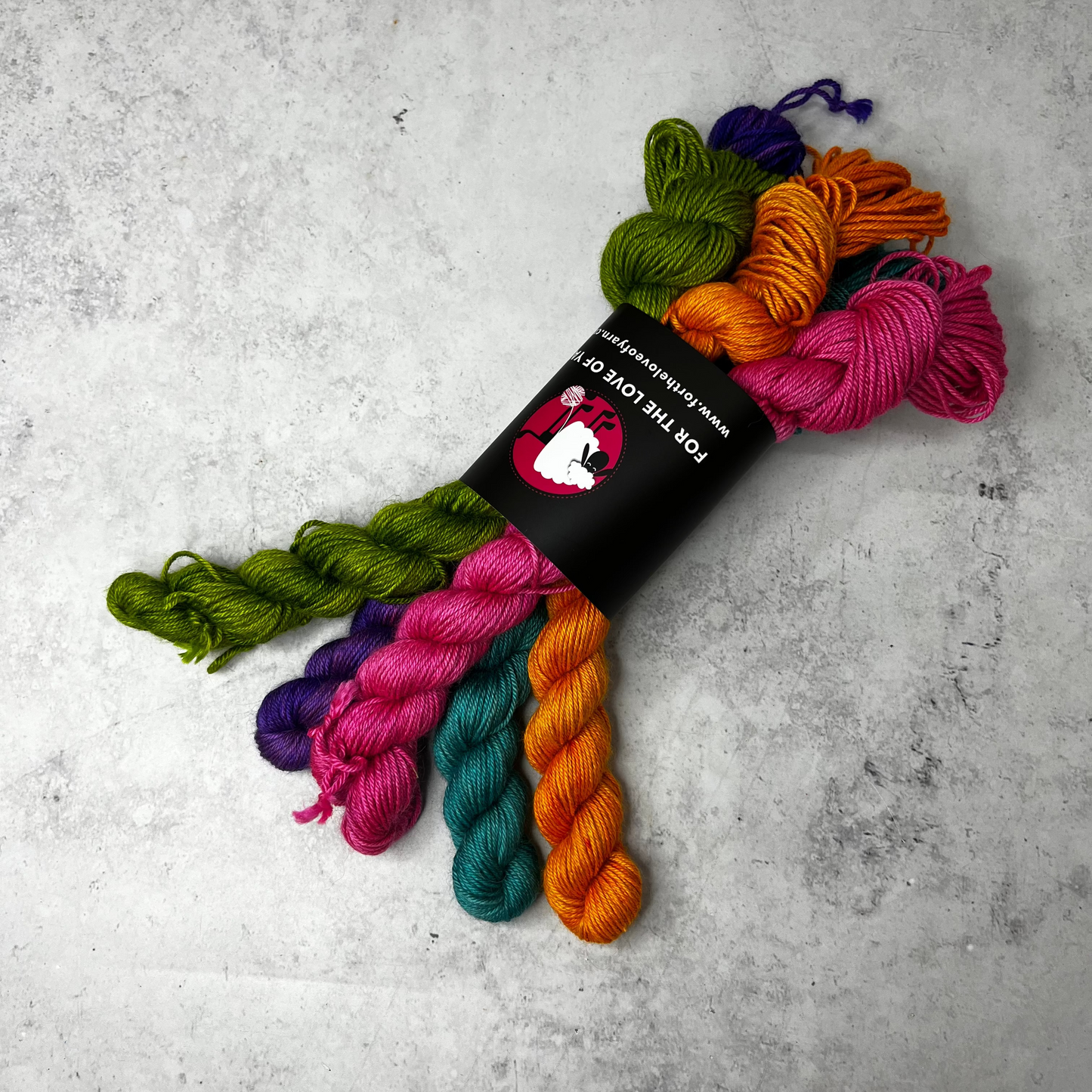 Party on Camel Mini Bundle