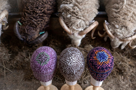 Shetland Wool Week Printed Pattern 2024