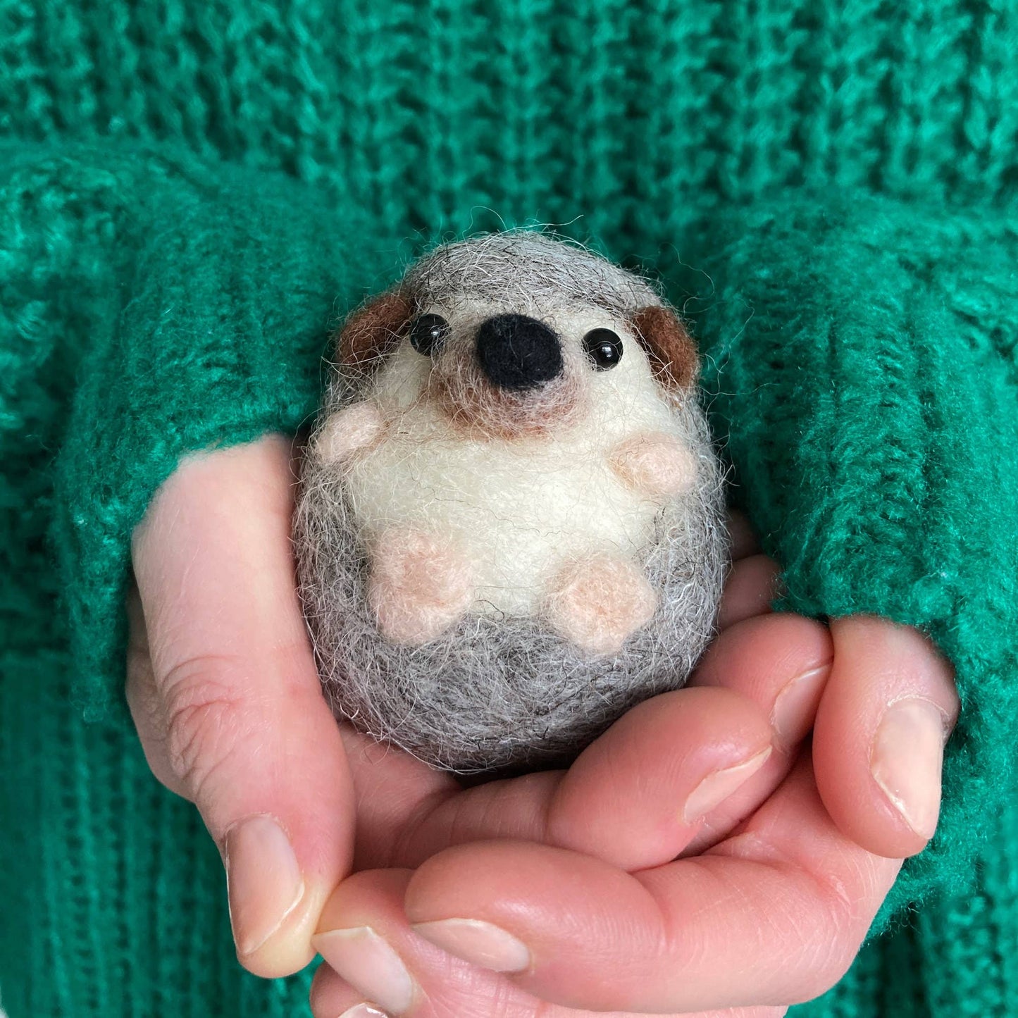 Hedgehog Needle Felting Kit