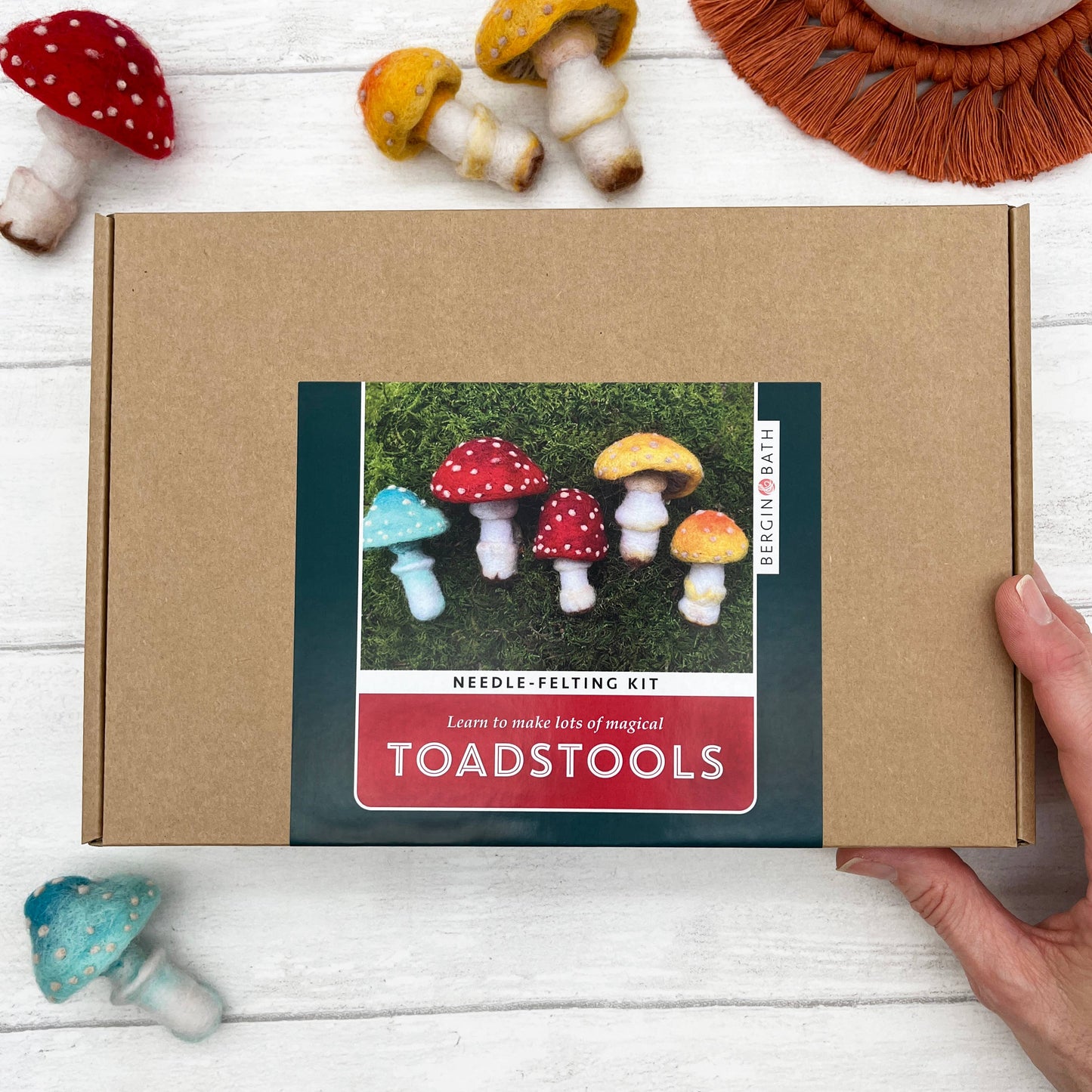 Toadstools Needle Felting Kit
