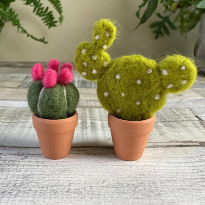 Cacti Needle Crafting Kit