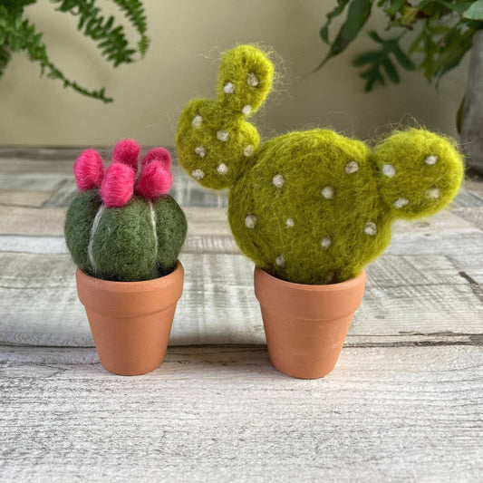 Cacti Needle Crafting Kit