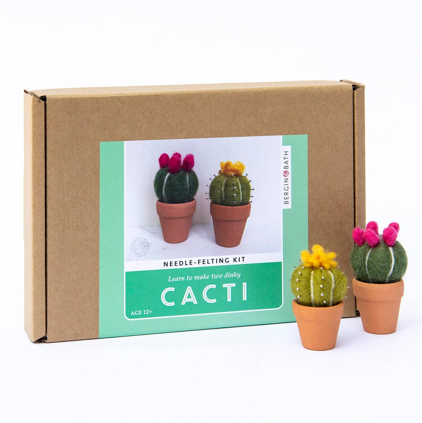 Cacti Needle Crafting Kit