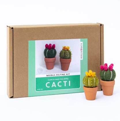 Cacti Needle Crafting Kit