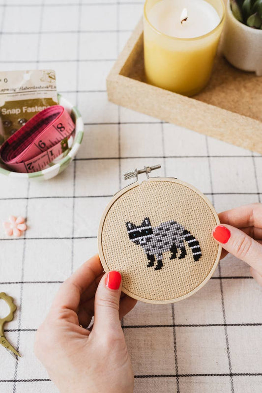 Raccoon Cross Stitch Kit