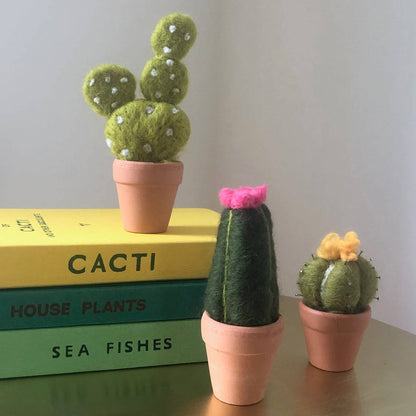 Cacti Needle Crafting Kit