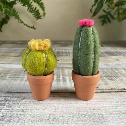 Cacti Needle Crafting Kit