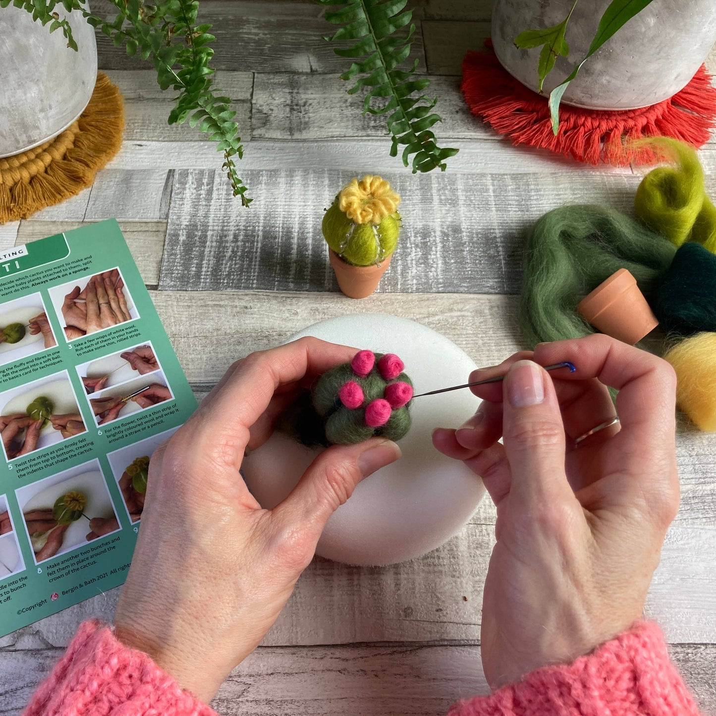 Cacti Needle Crafting Kit