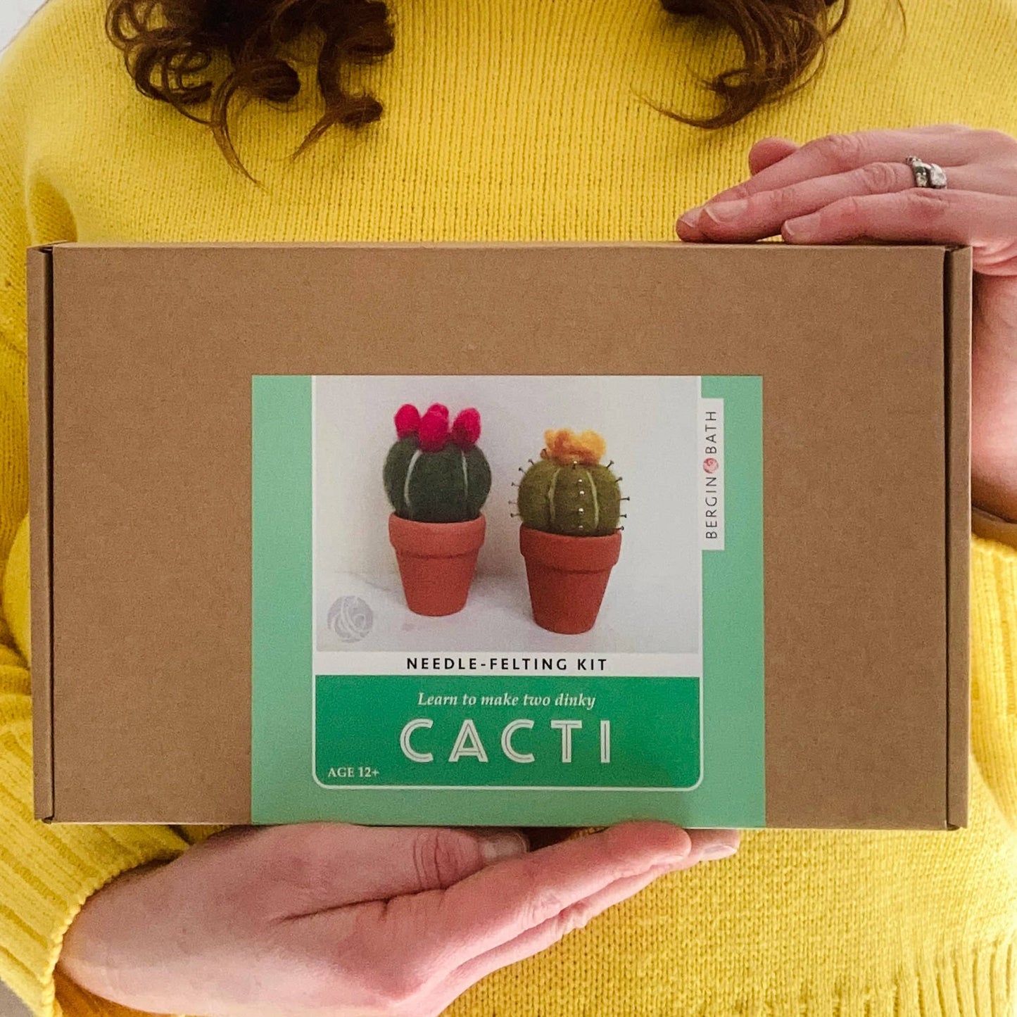 Cacti Needle Crafting Kit
