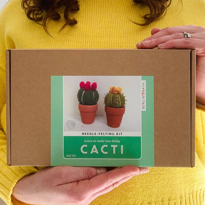 Cacti Needle Crafting Kit