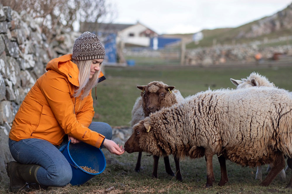 Shetland Wool Week Printed Pattern 2024