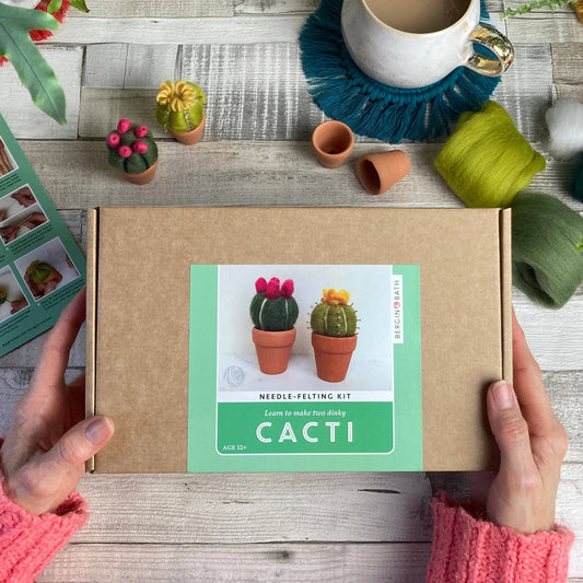 Cacti Needle Crafting Kit