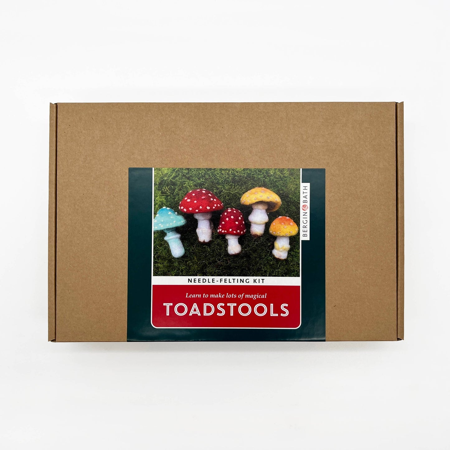 Toadstools Needle Felting Kit